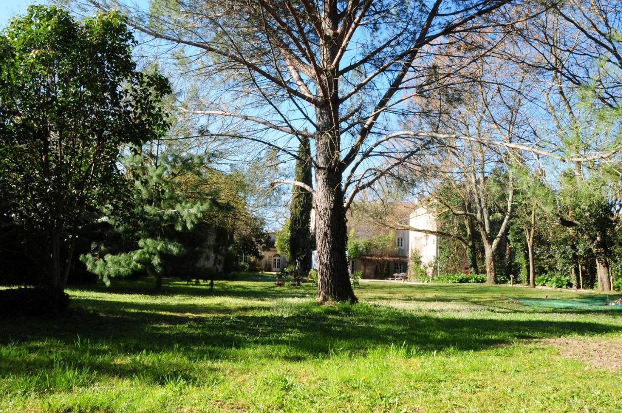 Orangerie De Cardet - Maison D'Hotes - B&B Exteriér fotografie